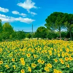 Licinia פוליניו