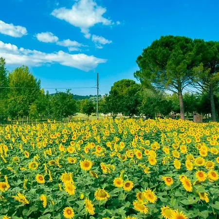 Licinia Foligno